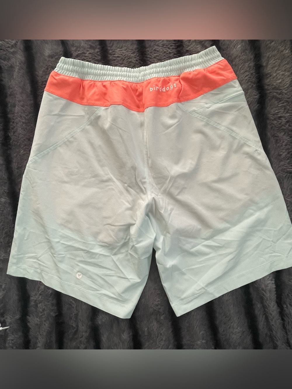 Birddogs Two-Tone Shorts — Light Blue with Coral Waistband - Picture 2 of 4